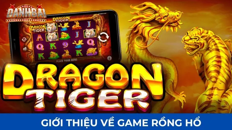 luat choi rong ho 1 Tìm hiểu thông tin về game rồng hổ