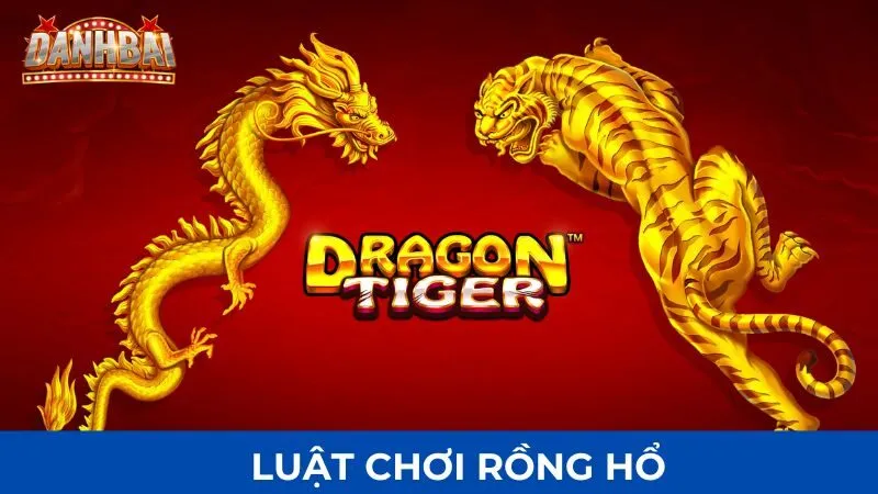 luat choi rong ho 2 Luật chơi rồng hổ cơ bản