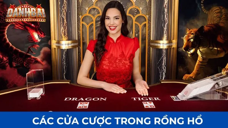 luat choi rong ho 3 Các cửa cược trong luật chơi rồng hổ