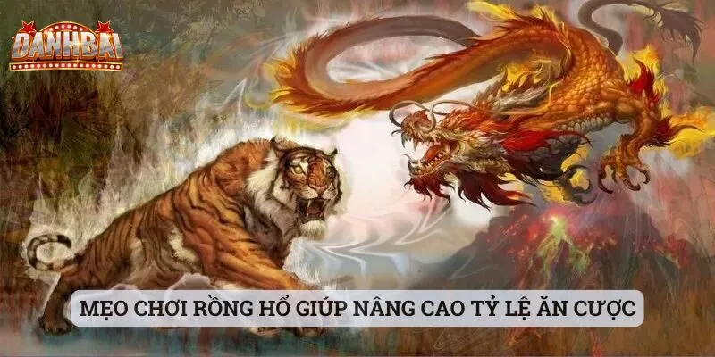 Mẹo chơi rồng hổ Mẹo chơi Rồng Hổ giúp nâng cao tỷ lệ ăn cược